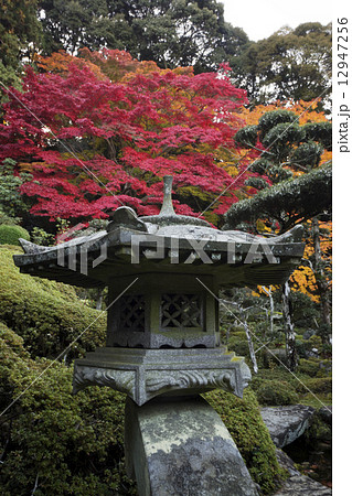 秋景色 奈良 當麻寺 秋景色 奈良 當麻寺 12947256