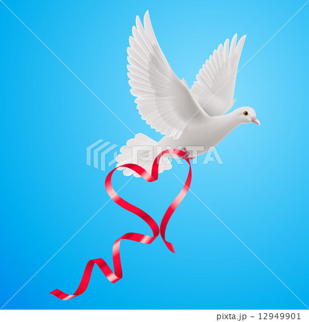 Dove 12949901