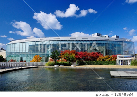 新潟市民芸術文化会館の秋 12949934