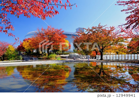 りゅーとぴあの紅葉 12949941