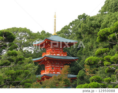 三重塔＠須磨寺 12950088