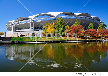 ビッグスワンの秋  12950220