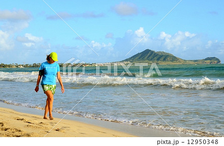 ハワイの休日 ハワイの休日 12950348