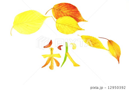 秋の背景素材・落ち葉5枚と葉っぱのコラージュ「秋」・白バック横位置 12950392