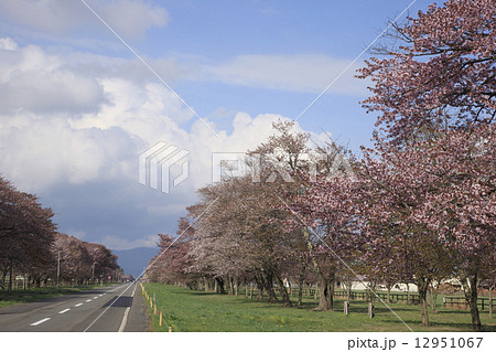 二十間道路 二十間道路 12951067