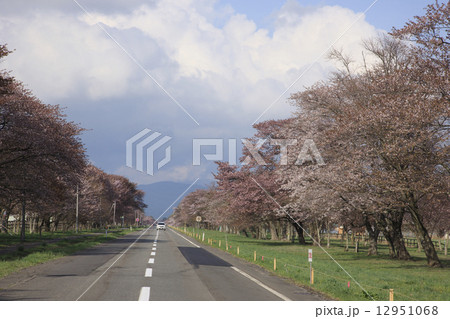 二十間道路 二十間道路 12951068