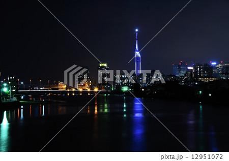 福岡タワー 12951072