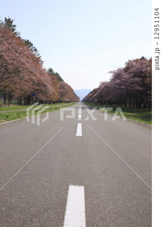 二十間道路 12951104