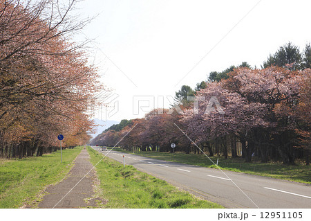 二十間道路 二十間道路 12951105
