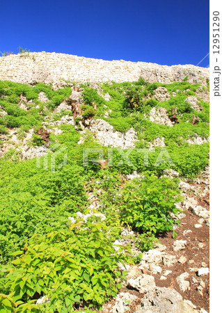 8月沖縄 玉城城跡・石垣 12951290