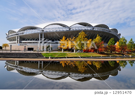 ビッグスワンの秋  12951470