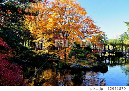 白山公園紅葉 12951870