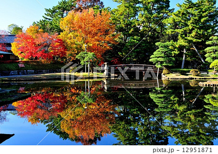 白山公園紅葉 白山公園紅葉 12951871