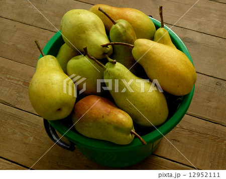 bucket full of pears bucket full of pears 12952111