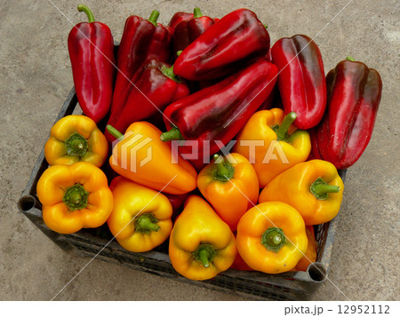 red and yellow peppers 12952112