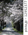 春 12952377