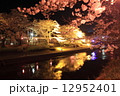 夜桜 12952401