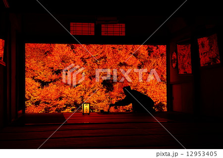 安国寺 12953405