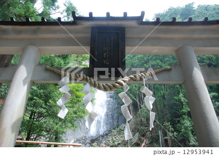 飛瀧神社の鳥居（那智の瀧／和歌山県東牟婁郡那智勝浦町那智山） 12953941