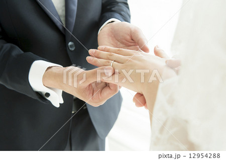 指輪交換をする新郎新婦 12954288