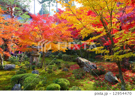 圓光寺 圓光寺 12954470