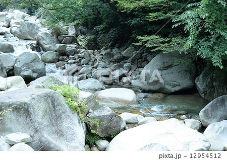 上流2 上流2 12954512