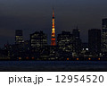 the tokyo tower 12954520