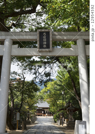弓弦羽神社 弓弦羽神社 12954592