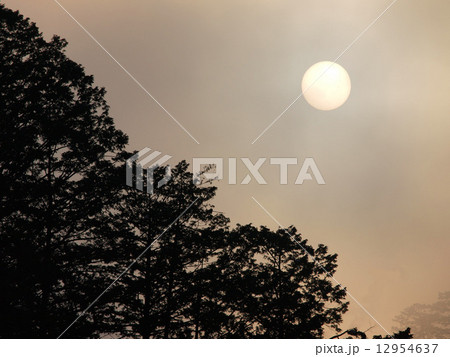 霧中と太陽 12954637