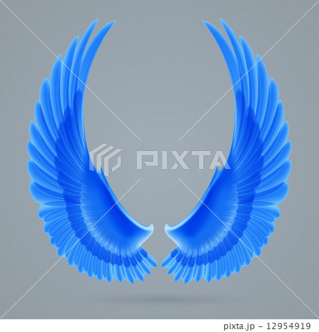 Inspire wings Inspire wings 12954919