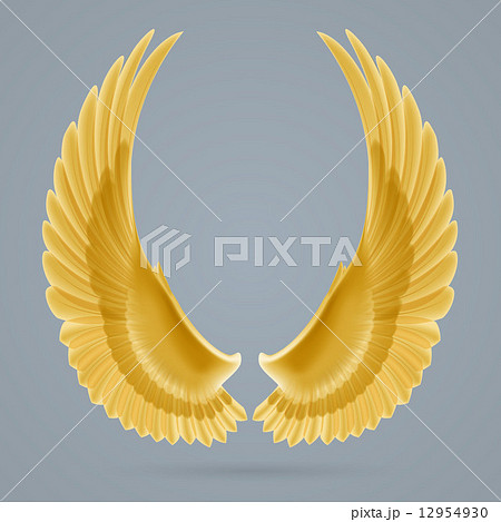 Inspire wings 12954930