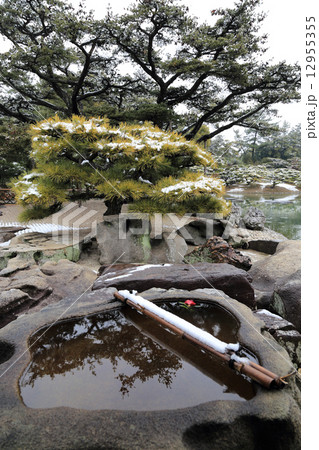 冬の栗林公園、掬月亭の掬月のつくばいと根上五葉松 冬の栗林公園、掬月亭の掬月のつくばいと根上五葉松 12955355