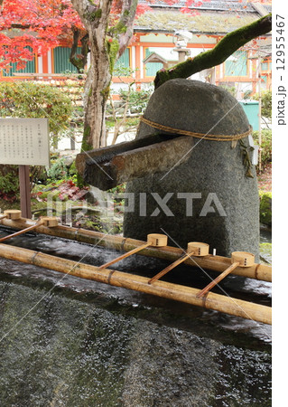 神山湧水 神山湧水 12955467