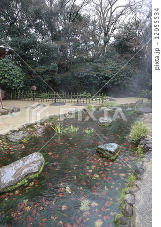 冬の栗林公園、吹上からの暖かい地下水が湯気を上げて南湖へ流れる 12955534