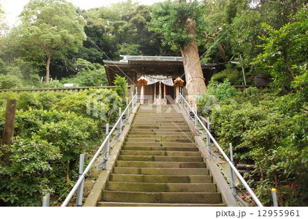 走水神社（神奈川県横須賀市走水） 12955961