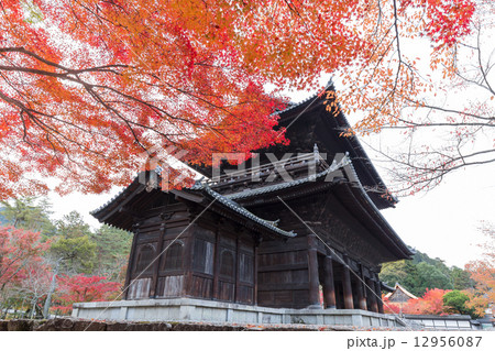 秋の南禅寺三門 12956087