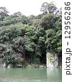 川と緑 12956286