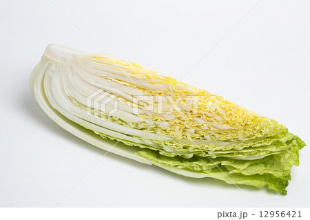 ハクサイ ハクサイ 12956421