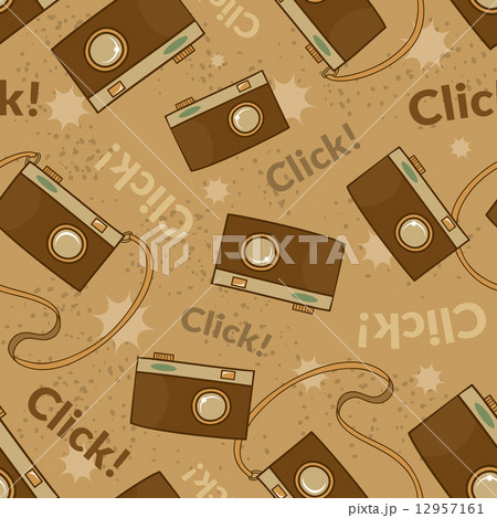 Photo cameras vector seamless pattern 12957161