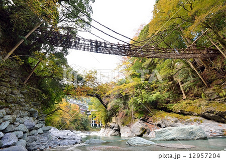 祖谷のかずら橋 12957204