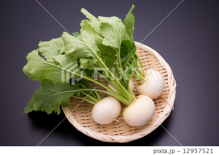 葉付きのかぶ 12957521