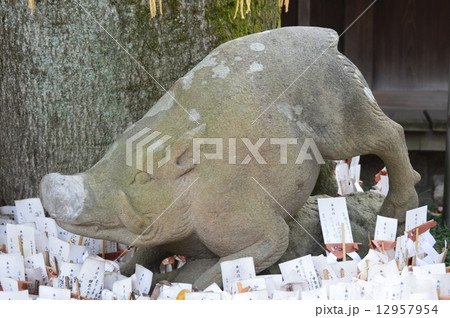 護王神社の「狛猪」（京都市上京区烏丸通下長者町下ル桜鶴円町） 12957954