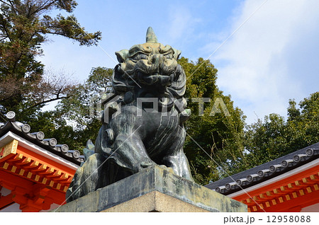 八坂神社の 狛犬 吽形像 八坂神社 京都市東山区祇園町 の写真素材