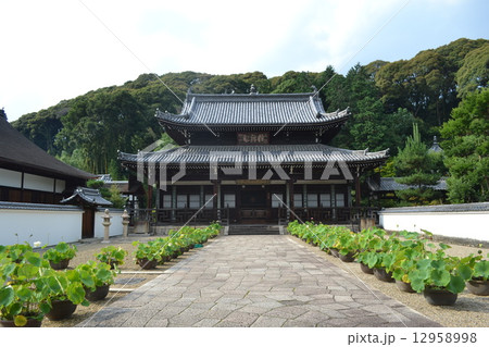 萬福寺 12958998