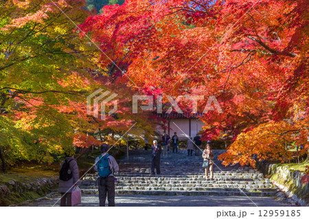 秋の二尊院 12959185