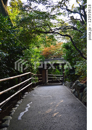 椿山荘紅葉 12959618