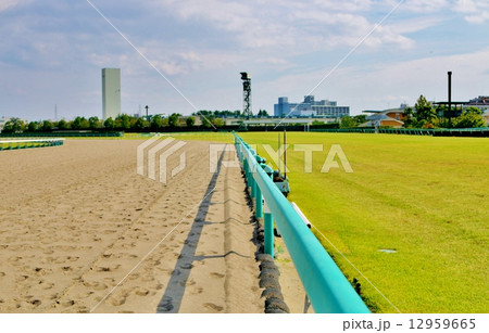 阪神競馬場 12959665