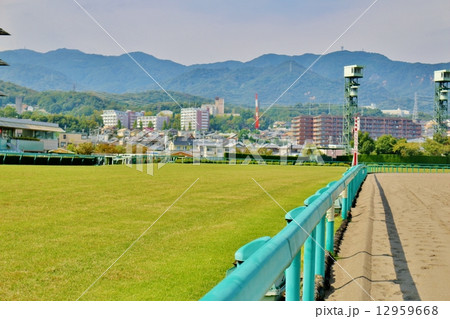 阪神競馬場 12959668