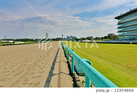 阪神競馬場 12959669