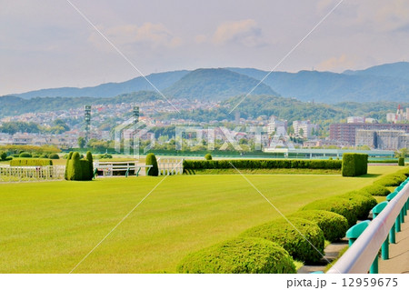 阪神競馬場 12959675